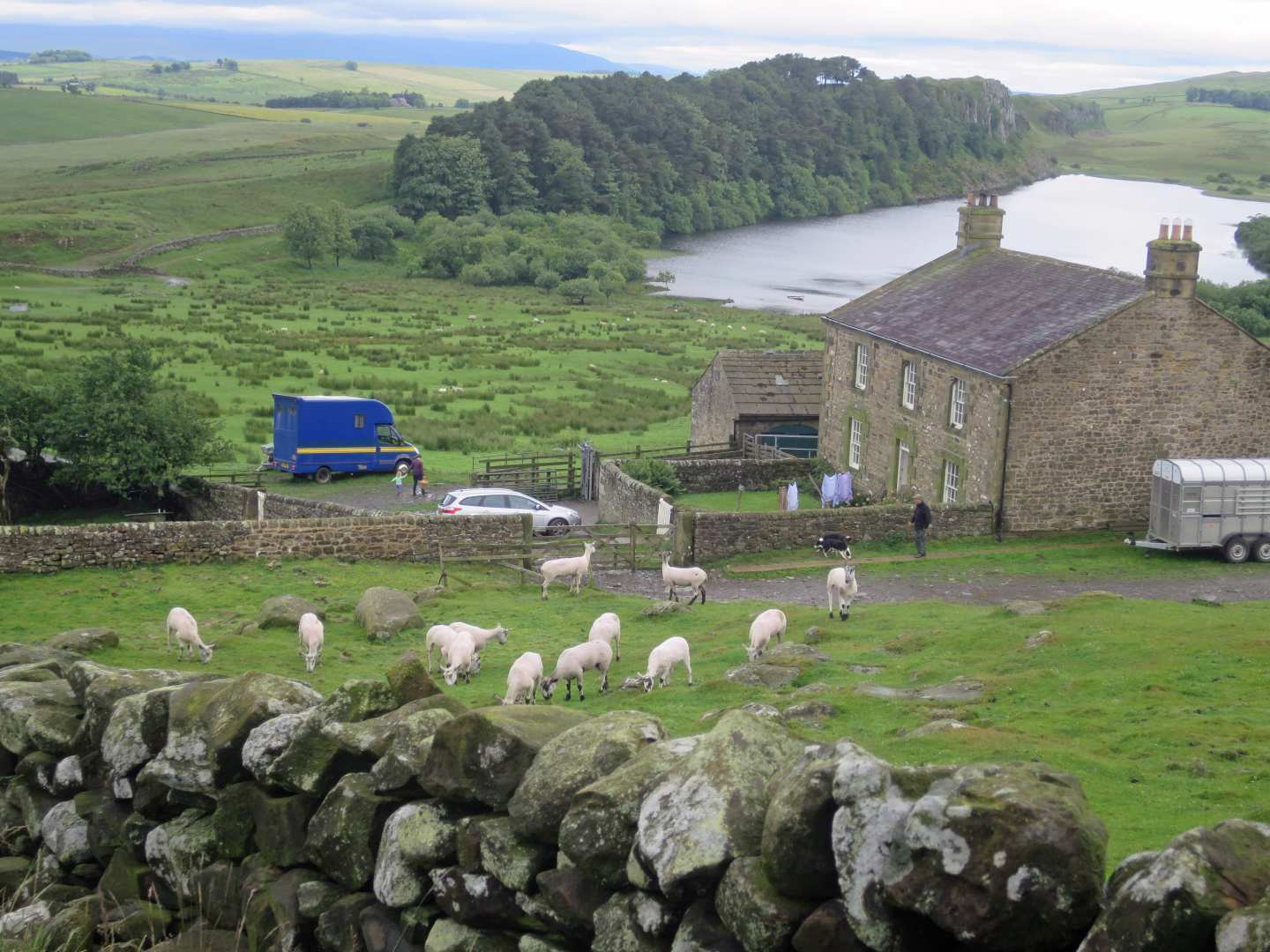 Hadrian's Wall Run
